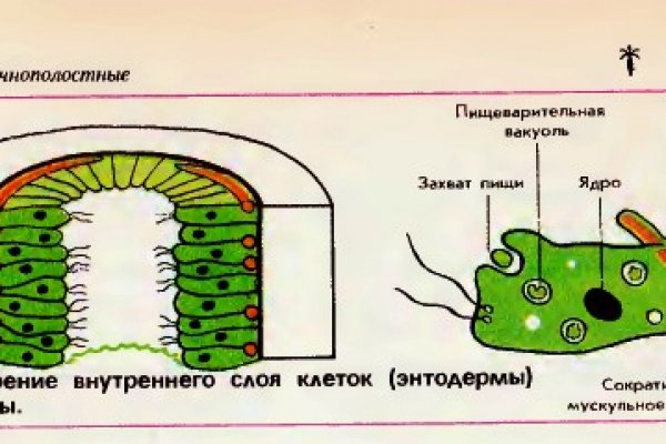 Кракен маркетплейс товары