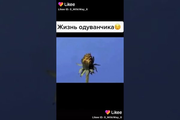 Кракен даркнет только через стор