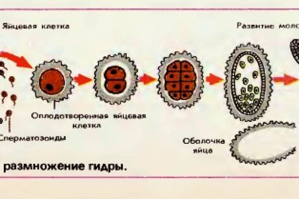 Что продают на сайте кракен