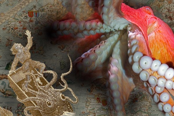 Kraken darknet marketplace