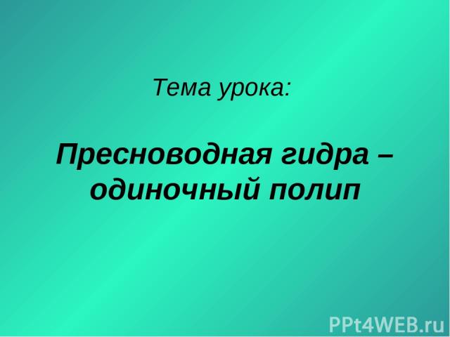 Кракен шоп нарк
