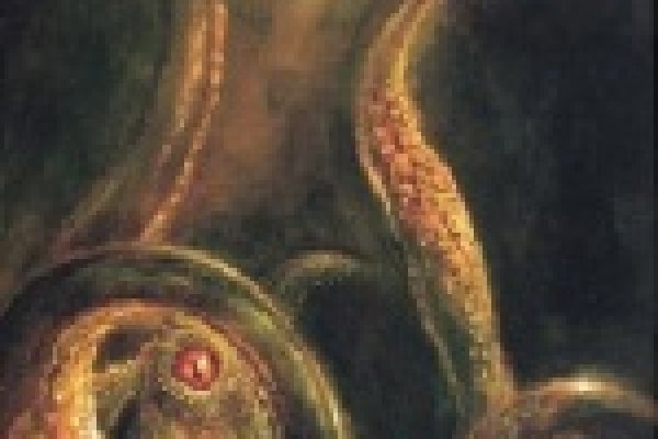 Кракен зеркало прокатис
